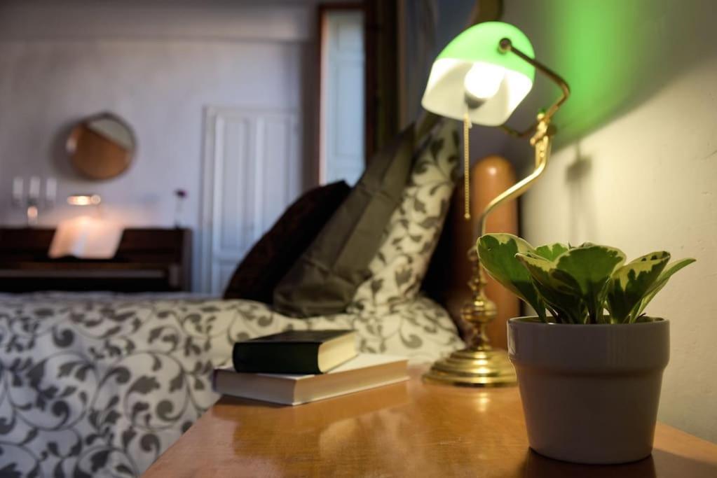Cozy Apartment With Private Garden - City Center - Флоренция Экстерьер фото